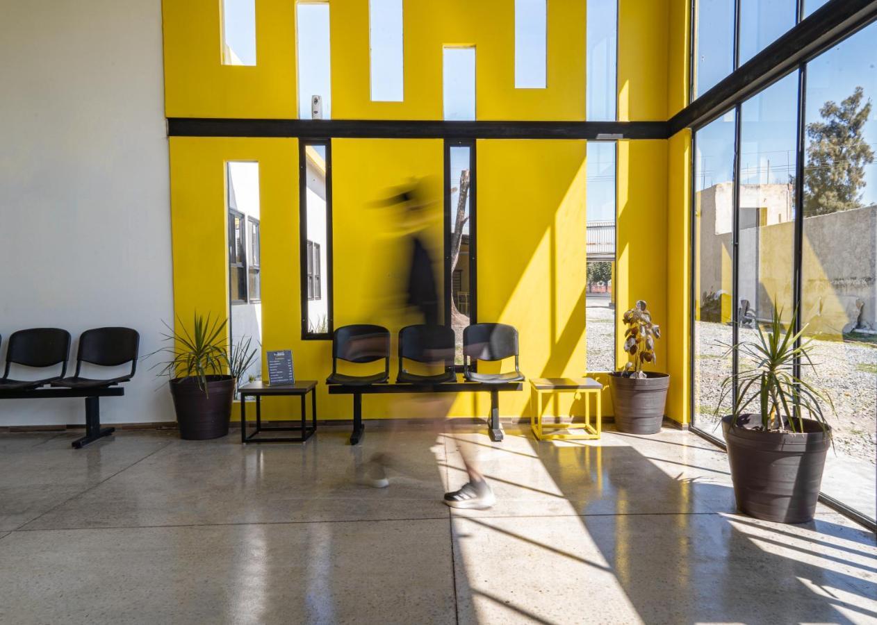 Check Inn Hostal Aeropuerto Gdl Las Pintas Eksteriør bilde